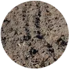 Soils