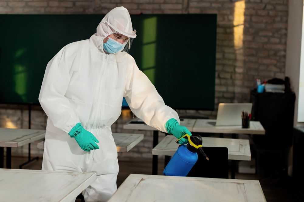 Professional General Pest Treatment Services