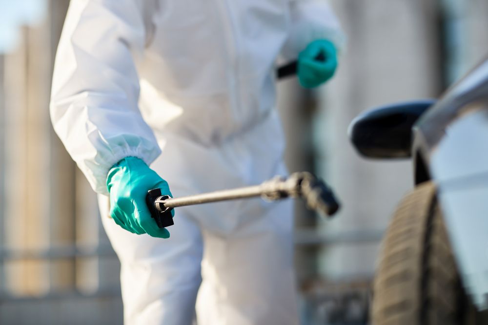 Custom Pest Treatment Solutions