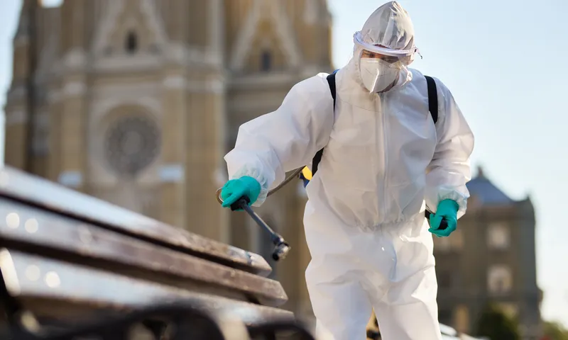 Professional General Pest Control Services
