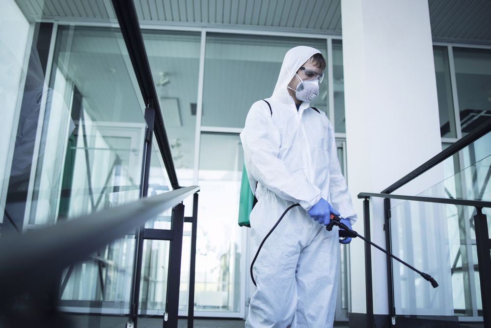 Custom Pest Treatment Solutions