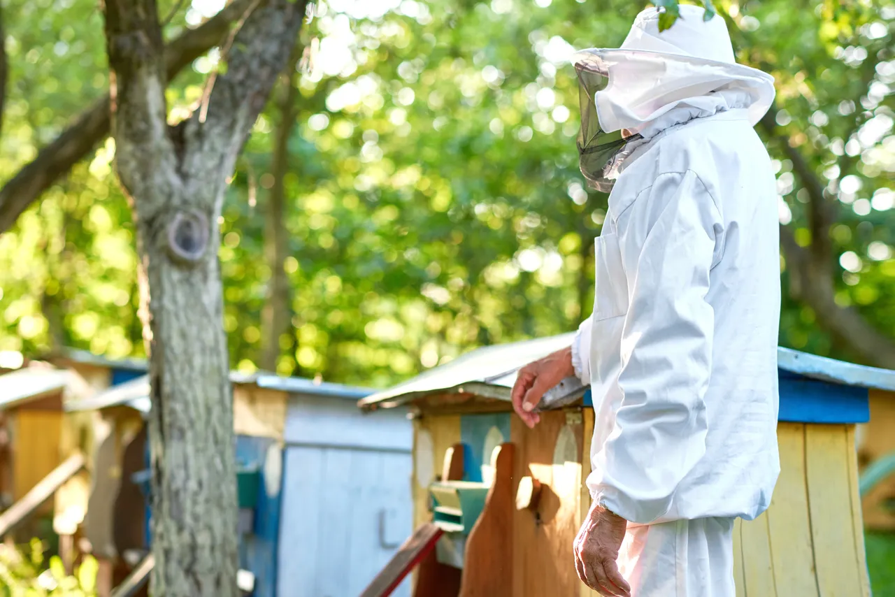 Beekeeping Suit