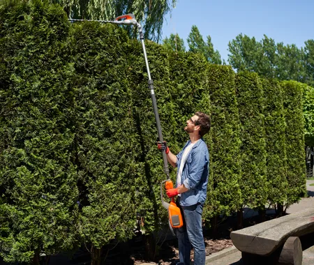 Hedge Trimming