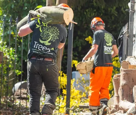 Two tree surgeons in branded shirts are manually carrying freshly cut logs from a garden area, with one wearing high-visibility orange protective trousers.